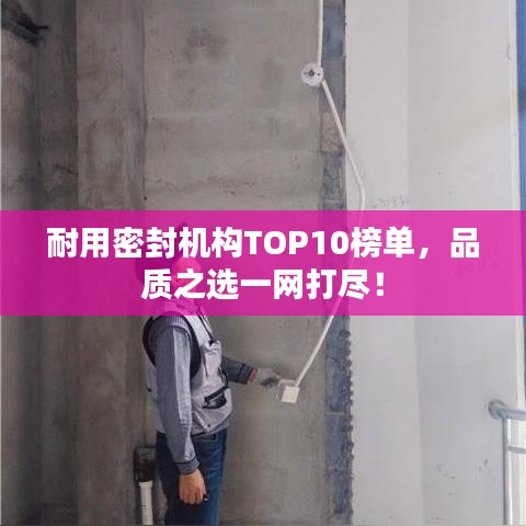 耐用密封机构TOP10榜单，品质之选一网打尽！