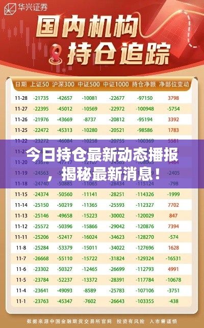 今日持仓最新动态播报，揭秘最新消息！