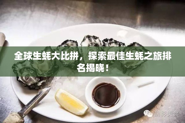 全球生蚝大比拼，探索最佳生蚝之旅排名揭晓！