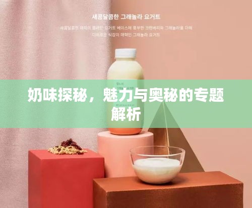 奶味探秘，魅力与奥秘的专题解析