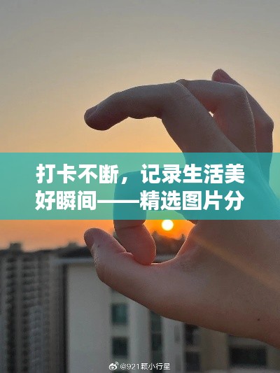 打卡不断，记录生活美好瞬间——精选图片分享