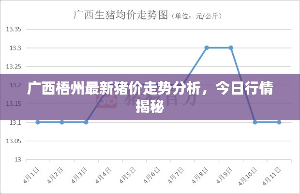 广西梧州最新猪价走势分析，今日行情揭秘