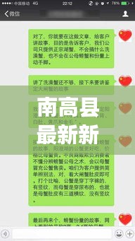 南高县最新新闻头条，揭秘当地热点事件
