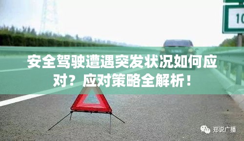 安全驾驶遭遇突发状况如何应对？应对策略全解析！
