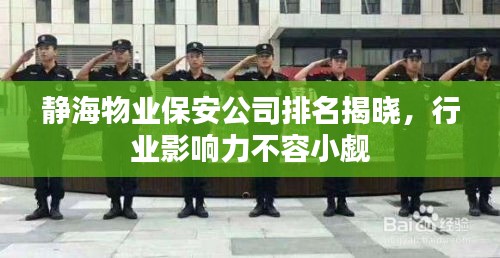 静海物业保安公司排名揭晓，行业影响力不容小觑