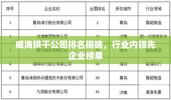 威海烘干公司排名揭晓，行业内领先企业榜单