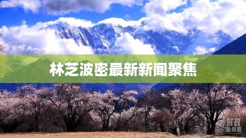 林芝波密最新新闻聚焦