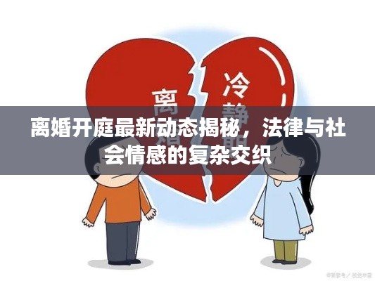 离婚开庭最新动态揭秘，法律与社会情感的复杂交织