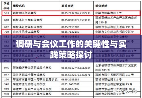 调研与会议工作的关键性与实践策略探讨