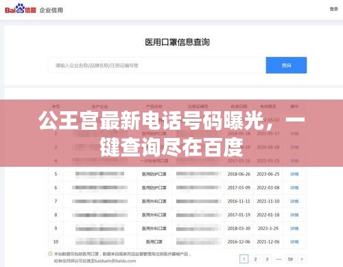 公王宫最新电话号码曝光，一键查询尽在百度