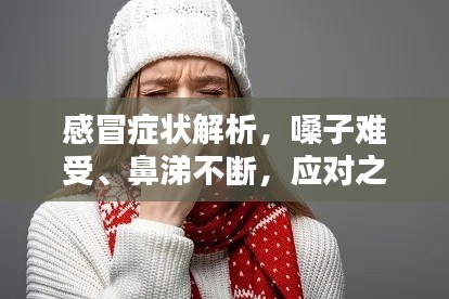 感冒症状解析，嗓子难受、鼻涕不断，应对之策全解析