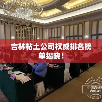 吉林粘土公司权威排名榜单揭晓！