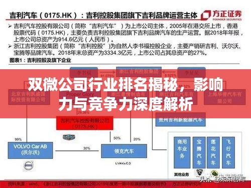 双微公司行业排名揭秘，影响力与竞争力深度解析