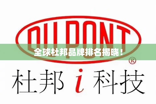 全球杜邦品牌排名揭晓！