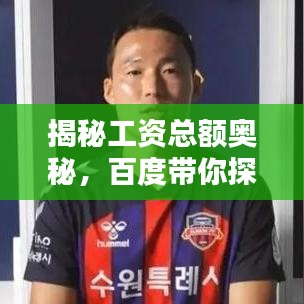 揭秘工资总额奥秘，百度带你探索未知领域！