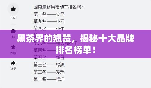 黑茶界的翘楚，揭秘十大品牌排名榜单！