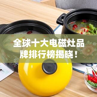 全球十大电磁灶品牌排行榜揭晓！