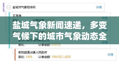 盐城气象新闻速递，多变气候下的城市气象动态全面解读