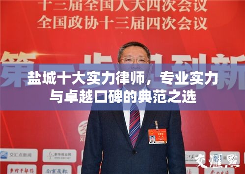 盐城十大实力律师，专业实力与卓越口碑的典范之选