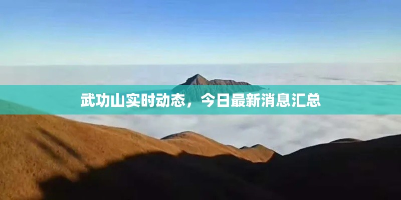 武功山实时动态，今日最新消息汇总