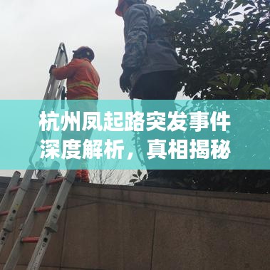 杭州凤起路突发事件深度解析，真相揭秘与应对之道