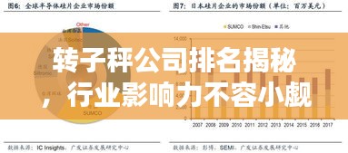 转子秤公司排名揭秘，行业影响力不容小觑
