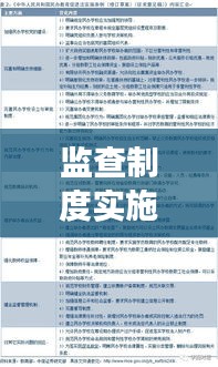 监查制度实施深度解析，成效与挑战并存