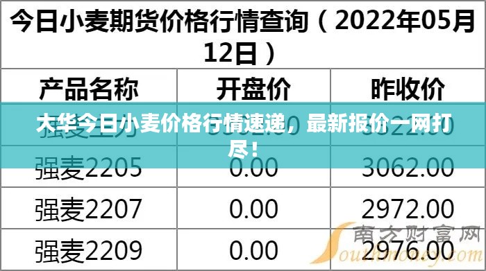 大华今日小麦价格行情速递，最新报价一网打尽！