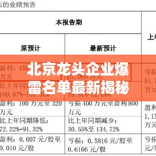 北京龙头企业爆雷名单最新揭秘，风险警示，投资者必看！
