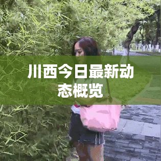 川西今日最新动态概览
