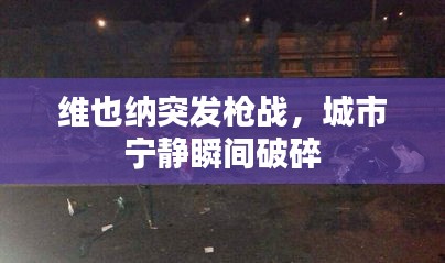 维也纳突发枪战，城市宁静瞬间破碎