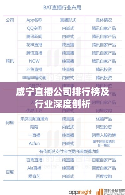 咸宁直播公司排行榜及行业深度剖析
