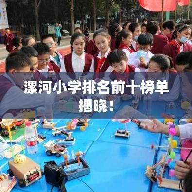 漯河小学排名前十榜单揭晓！