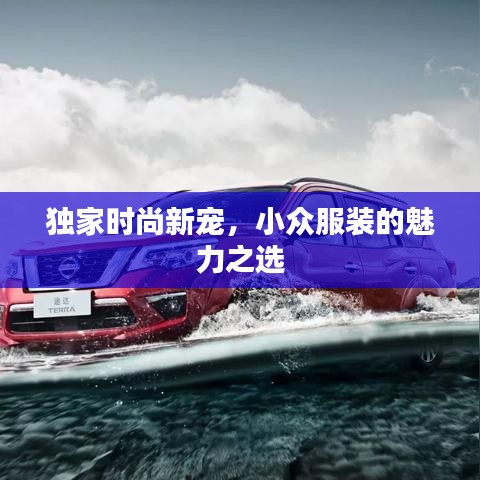 独家时尚新宠，小众服装的魅力之选