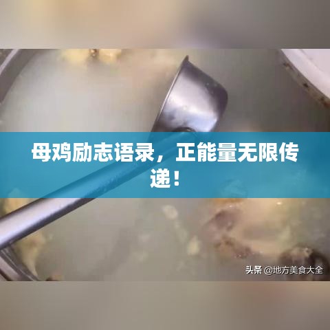 母鸡励志语录，正能量无限传递！