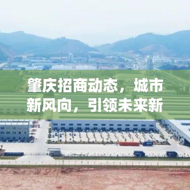肇庆招商动态，城市新风向，引领未来新发展