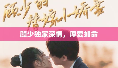 顾少独家深情，厚爱如命
