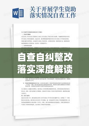 自查自纠整改落实深度解读，全面梳理，切实行动