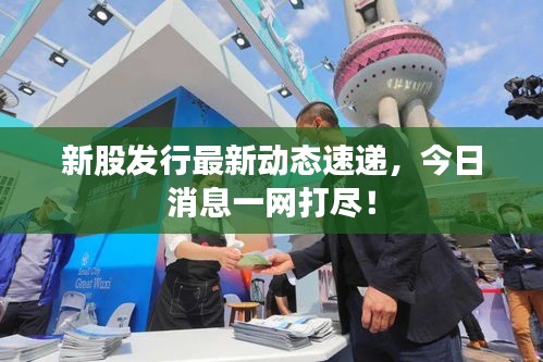 新股发行最新动态速递，今日消息一网打尽！