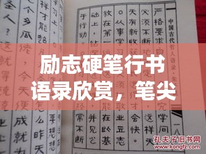 励志硬笔行书语录欣赏，笔尖上的力量