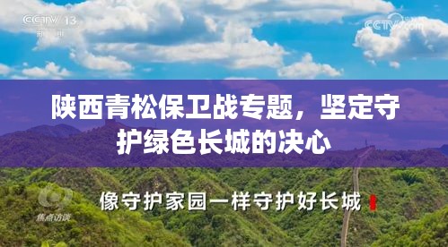 陕西青松保卫战专题，坚定守护绿色长城的决心