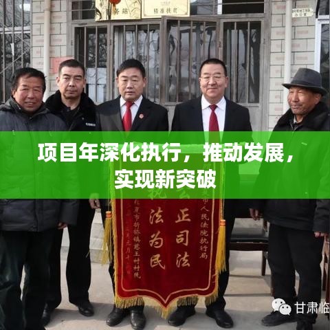 项目年深化执行，推动发展，实现新突破