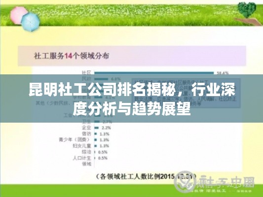 昆明社工公司排名揭秘，行业深度分析与趋势展望