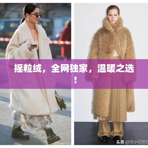 摇粒绒，全网独家，温暖之选！