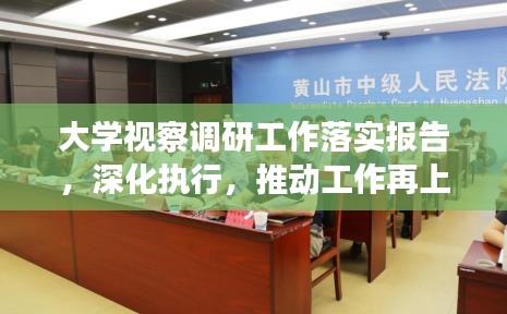 大学视察调研工作落实报告，深化执行，推动工作再上新台阶