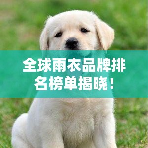 全球雨衣品牌排名榜单揭晓！