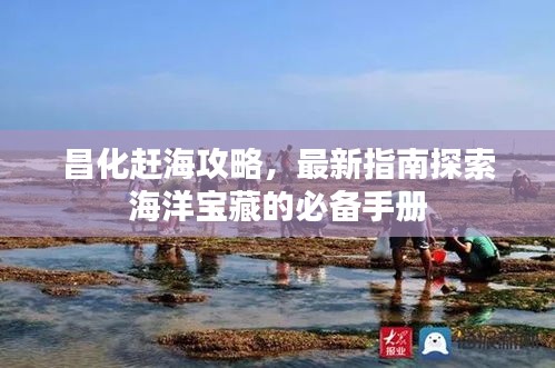 昌化赶海攻略，最新指南探索海洋宝藏的必备手册