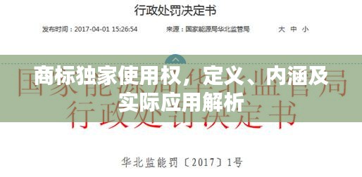 商标独家使用权，定义、内涵及实际应用解析