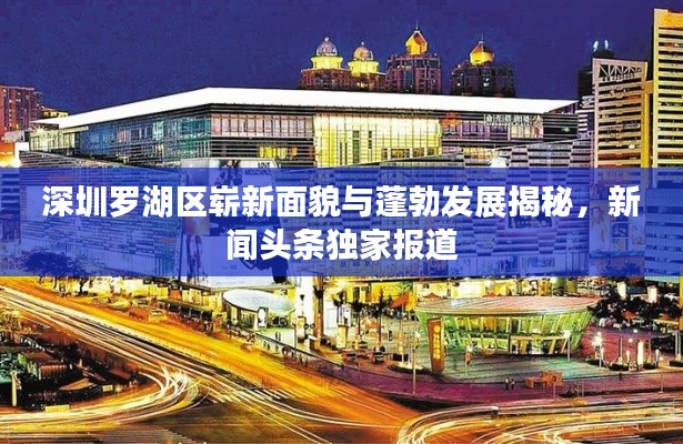 深圳罗湖区崭新面貌与蓬勃发展揭秘，新闻头条独家报道