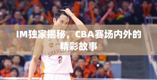 IM独家揭秘，CBA赛场内外的精彩故事